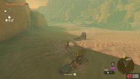 Use Sand Seals to cross the desert and get to the cave quickly!