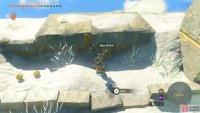 Picking up the available Sled Shield