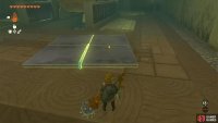The correct shape you need to make