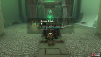 then continue to the end of the shrine to obtain the Spring Shield.