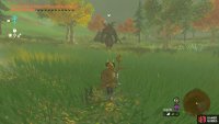 Red Lynels are the weakest Lynels in the game