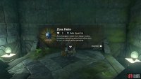 Grab the Zora Helm from the chest.