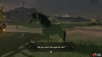 Once you catch a horse, bring it to Zumi and speak with her to complete the complete.