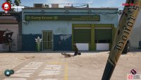 Kill Doc Martin to acquire the Gang Green Gate Key.