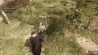 You will need to check the gravestones with a lot of overgrowth near them.