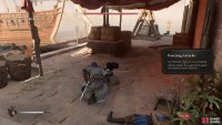 Free all the rebel prisoners at the Upper Harbor, then regroup with Beshi nearby.