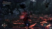 Go to the Hushed Saint’s boss area in the Fen, and flay the last pumpkin to spawn a new mini-boss.