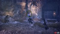 After the Sin Piercer is defeated, take the path opposite it to an area with two Holy Bulwarks. Defeat them, enter the Umbral Realm, and Soul Flay the Umbral Belly.