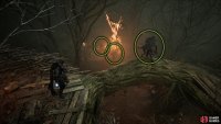 Follow the path right and take out the Shuja Warrior on the root. Now, defeat the two next to the bonfire.
