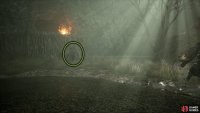 Jump down, run past the bonfire, and defeat the last Shuja Warrior. Now, head back to the Vestige, rest, and repeat the process.