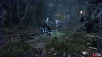 At the top of the hill, you’ll find a door that you can Soul Flay open which will take you to the boss arena.