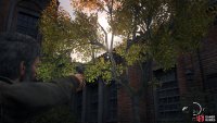 You can collect the Firefly Pendant Hip Pino hanging from a tree.