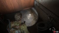 Enter the female bathroom to find theFirefly Pendant Colby