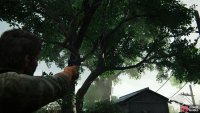 then head outside and shoot the Firefly Pendant down from the tree.