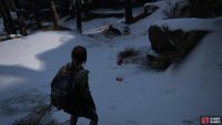 Follow the blood trail until you reach a building