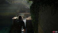 then use the ladder to create a bridge. 
