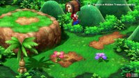 Near the end of the second screen, use a red flower to jump towards a purple flower to get this area&rsquo;s lone Hidden Chest.