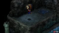 then ascend up some bubbles to reach a ledge with a chest containing a Max Mushroom.
