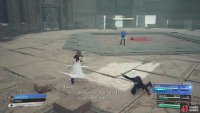 Tseng will mainly do combos during his attacks.