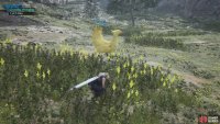 You want to avoid getting seen by the other Chocobos.