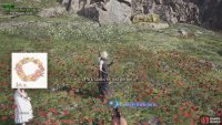 You can only pick each flower once, so don’t worry.