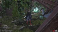 The Lifespring is right inside the wreckage, on the side.