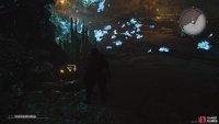 Check the room with the Archdragon for a chest.