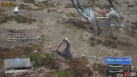 Be wary of melee attacks, since it can do the spinning Vortex Sweep.