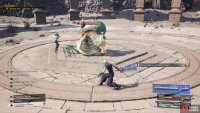 Use Steal to grab the Pristine Crown before he picks it back up.