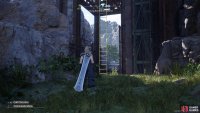 The trail will lead to this ladder, which takes you to the zipline.