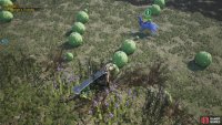 then throw some Chocobo Bait to lure the bird past.