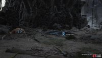 After defeating the Mystic Dragon you’ll get two choices for Condor Food: Bovine Meat or Monster Flesh.
