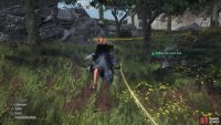 then track the fleeing bovine using the Junon Region’s chocobo.
