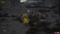 Complete Expedition Intel until you uncover Excavation Intel events, then head to the area and search around until you chocobo picks up the scent of buried treasure.