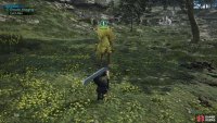 and catch the region’s unique chocobo unawares. The actual mechanics of each Chocobo Wrangling minigame will vary, but stealth is a mainstay.