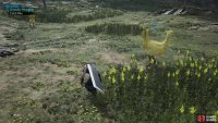 During Chocobo Intel events (Chocobo Wrangling) you’ll need to sneak past wary chocobos,