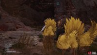 The opening to the cave is southeast of the Wastelands Tower.