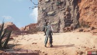 Once you arrive, find this wall to climb to reach the ruins.
