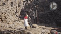 On the main path, you will eventually run across a ladder.
