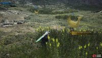 and then use the grass to avoid being seen.