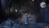 On the western end of the same area, there’s a chest with some Gold Dust inside.