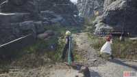 This path is where you will start the hunt for this region’s Chocobo.