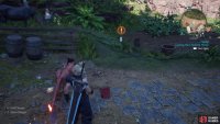 Your mission is to use the feed clanger to lure each chicken back to Kazhra.