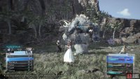 Use Blizzaga against the Ogre Raider 