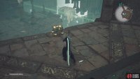 The Mauvestar Chamber will allow you to get the Cetran Bangle from this chest.