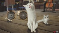 The cats seem to be enjoying your performance!