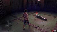 Taking inspiration from Dragon Quest, you can find Metalworm enemies in dungeons like the Hawaiian Haunt.