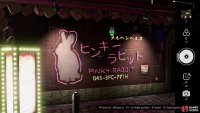 and take a picture of the Fairytale Pink Rabbit.