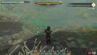 After the mushroom dies, wait for a moment until the poison pool disappears.