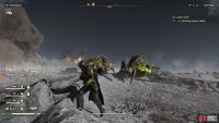 The back or underside of a bug is where you’ll often find the most weak points.